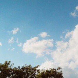 WATERGATE OPEN AIR SUMMER 26